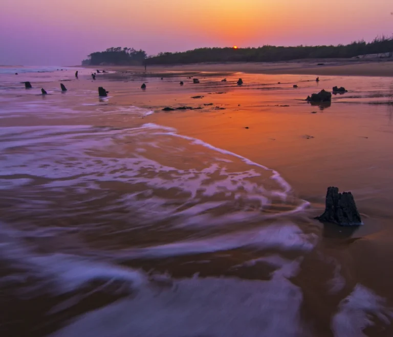 Where to Stay Near Bhitarkanika National Park: Your Guide to the Best Hotels