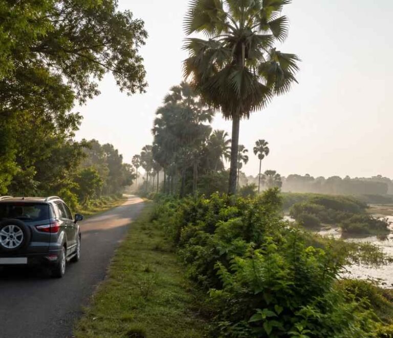 Kendrapara to Bhitarkanika Distance: Route, Travel Time & Transport Options