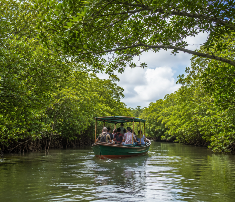 Bhitarkanika National Park Reopens in September: What’s New After Monsoon Closure